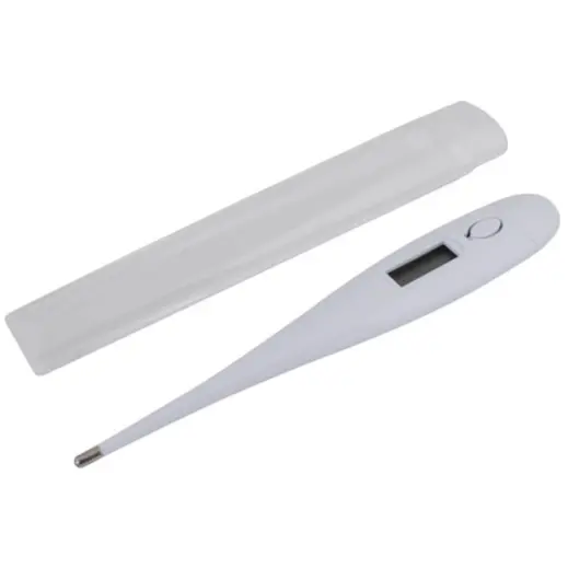 Digital Thermometer Display
